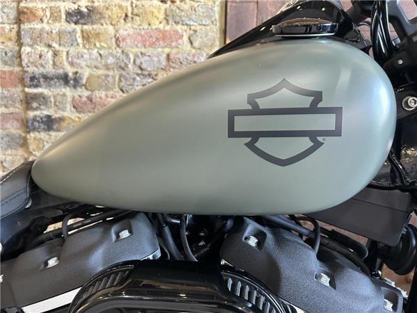 2021 Harley-Davidson Softail