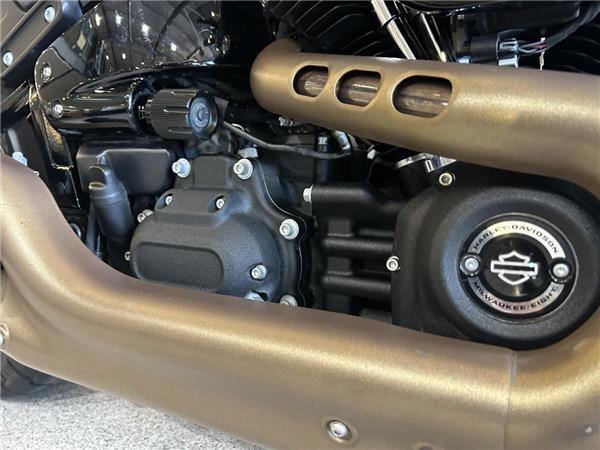 2021 Harley-Davidson Softail