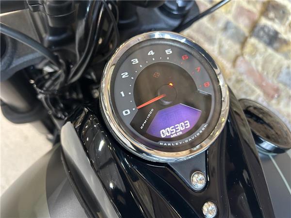 2021 Harley-Davidson Softail