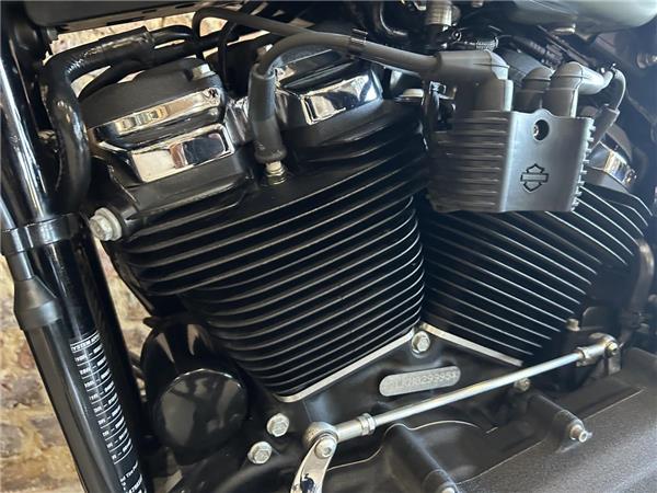 2021 Harley-Davidson Softail