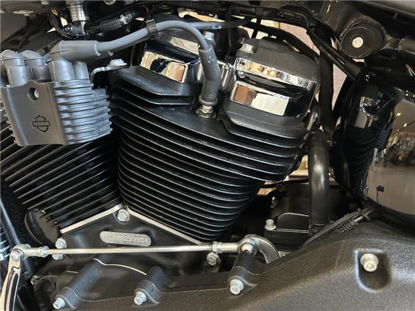 2021 Harley-Davidson Softail
