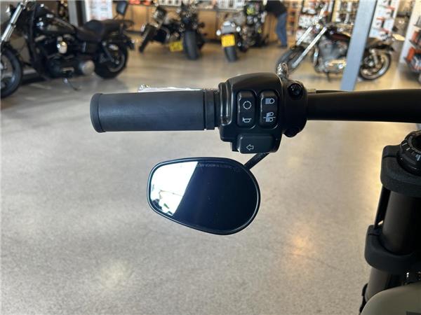 2021 Harley-Davidson Softail