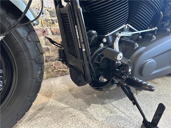 2021 Harley-Davidson Softail