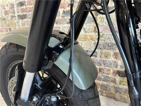 2021 Harley-Davidson Softail