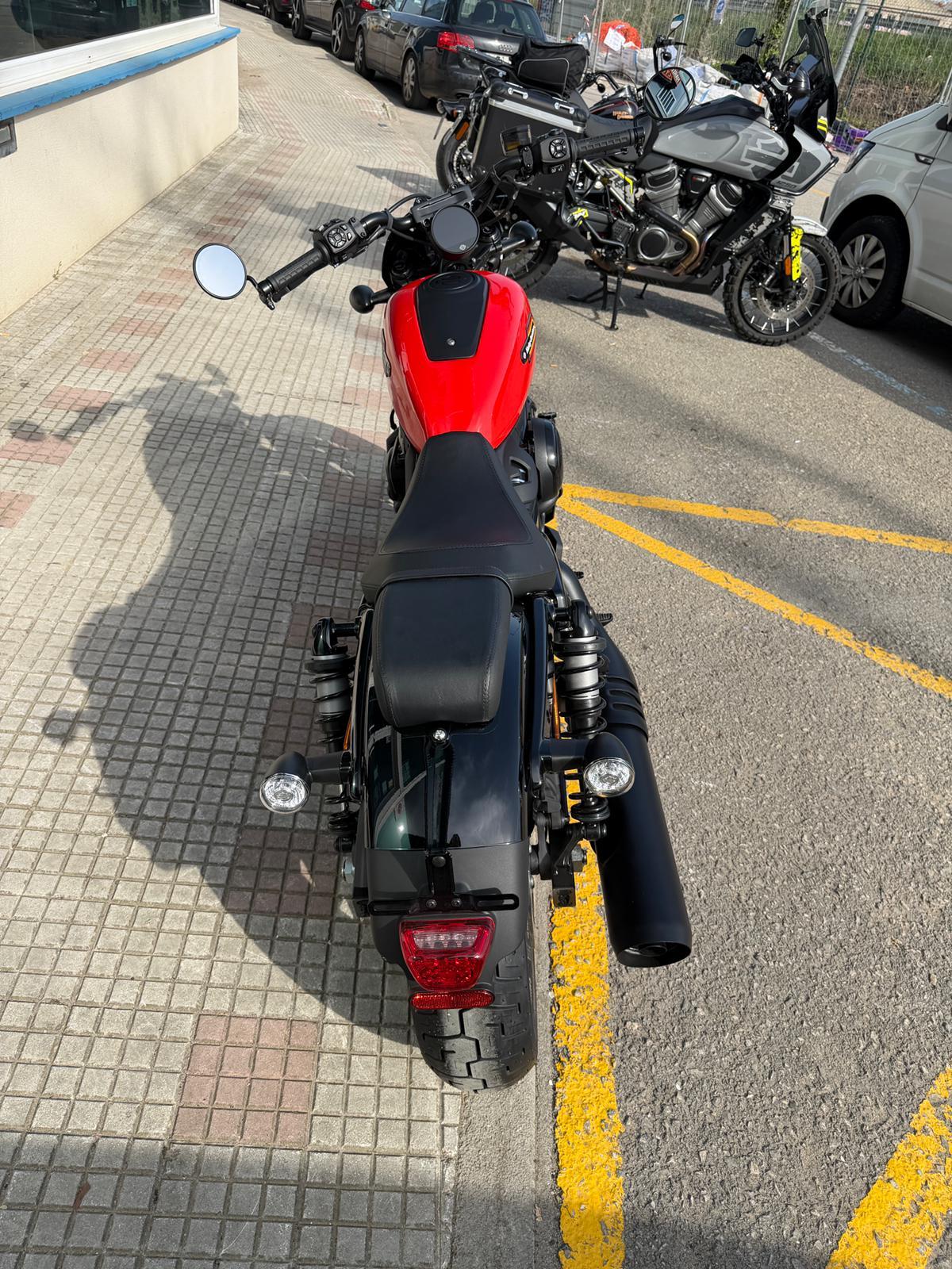2026 Nightster Special