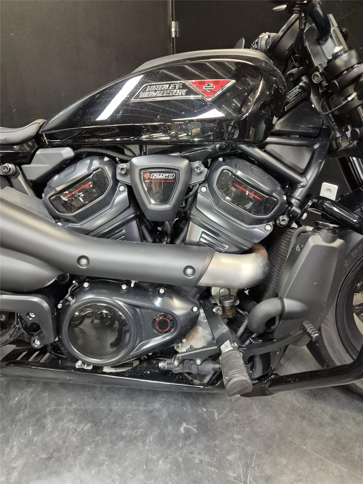 2025 HARLEY-DAVIDSON SPORTSTER 1250