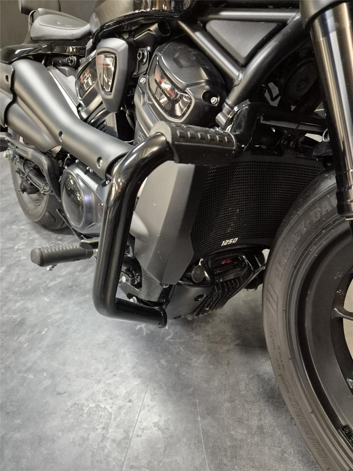 2025 HARLEY-DAVIDSON SPORTSTER 1250