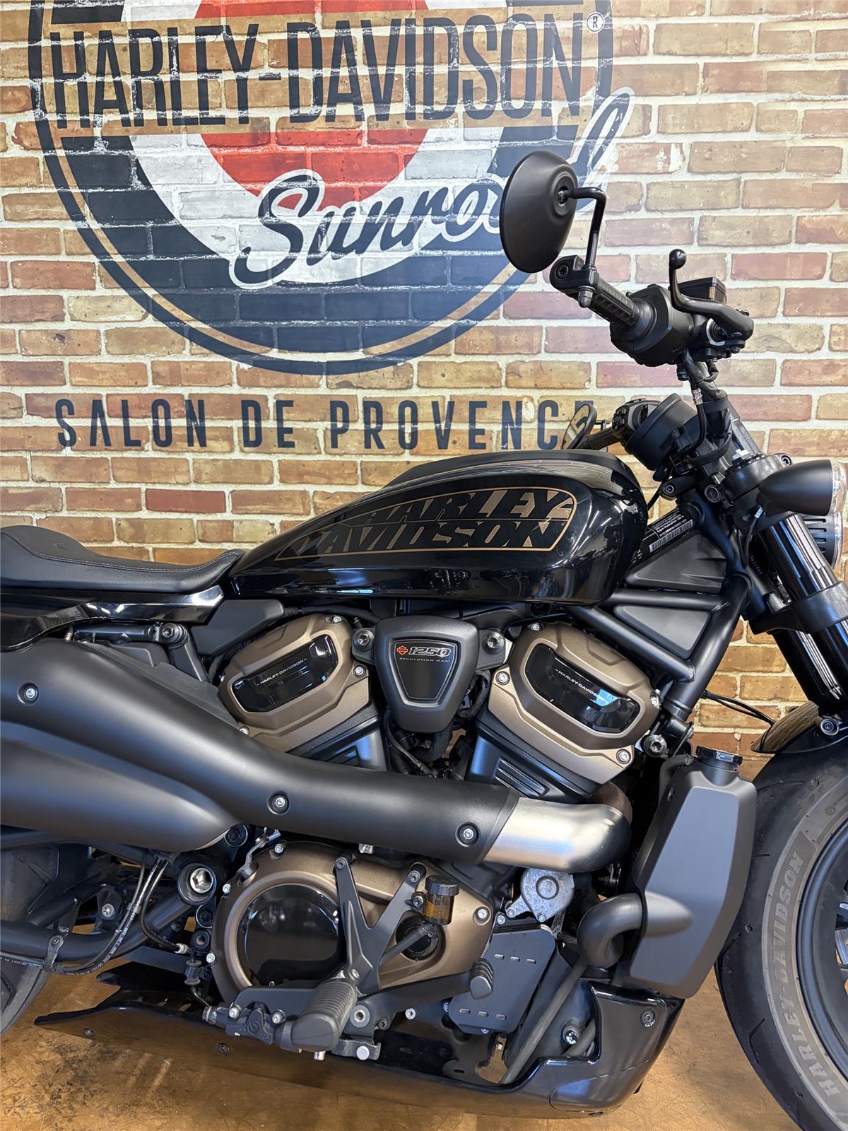 2022 HARLEY-DAVIDSON SPORTSTER 1250