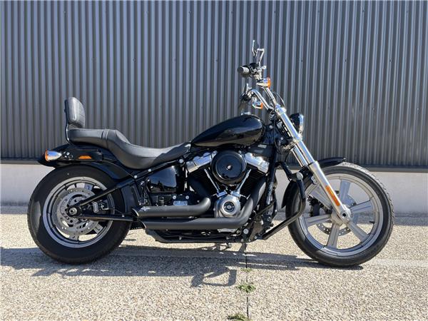 2024 HARLEY-DAVIDSON STANDARD