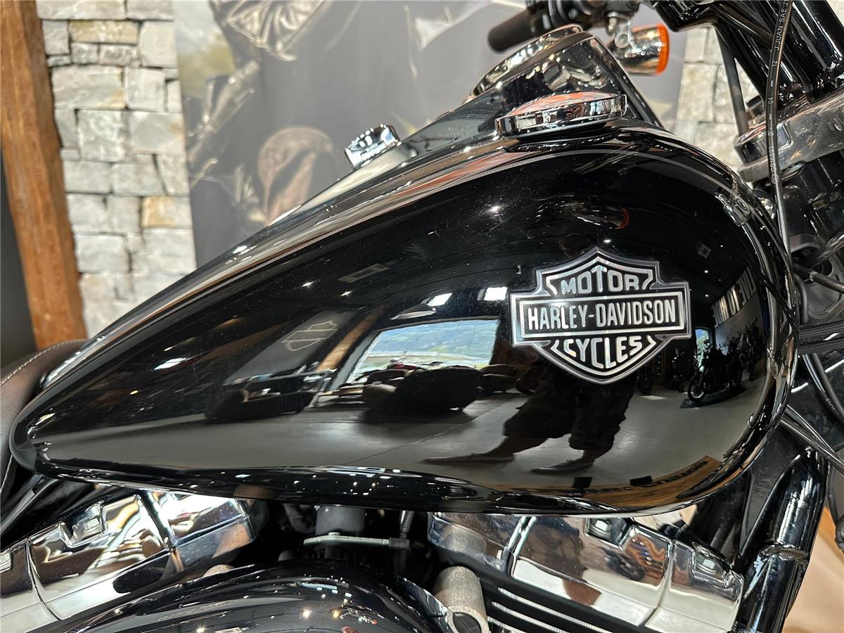 2014 harley-davidson FXDWG Dyna Wide Glide 103 ABS