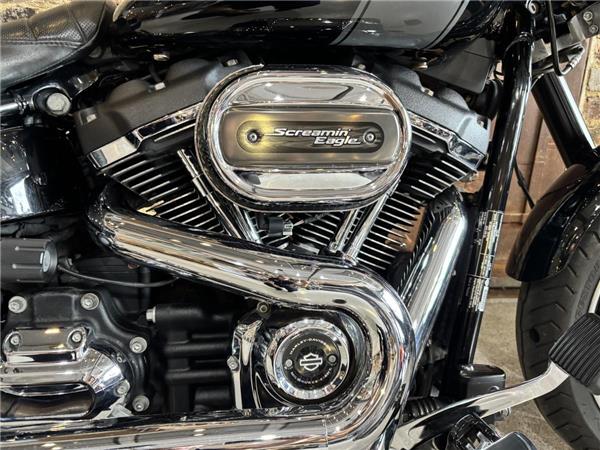 2021 Harley-Davidson Softail