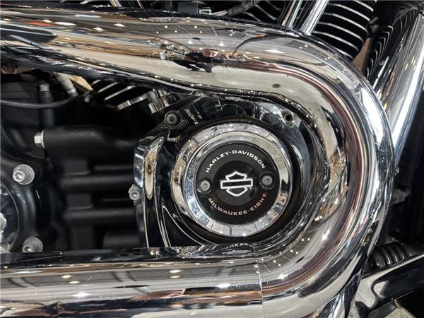 2021 Harley-Davidson Softail