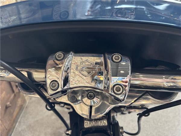 2021 Harley-Davidson Softail