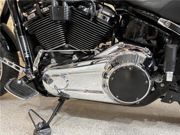2021 Harley-Davidson Softail