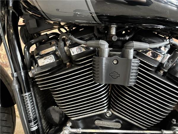 2021 Harley-Davidson Softail