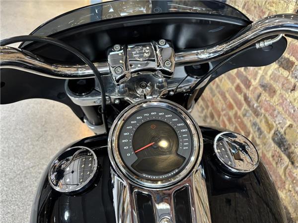 2021 Harley-Davidson Softail
