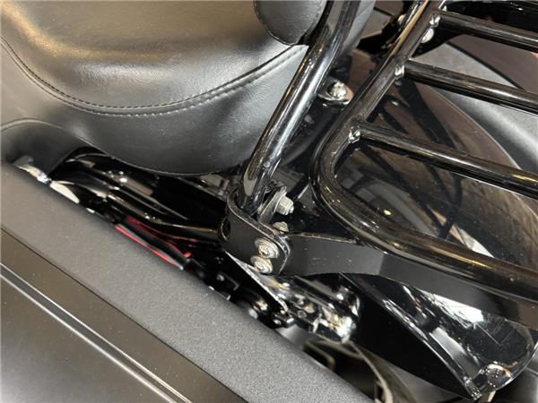 2021 Harley-Davidson Softail