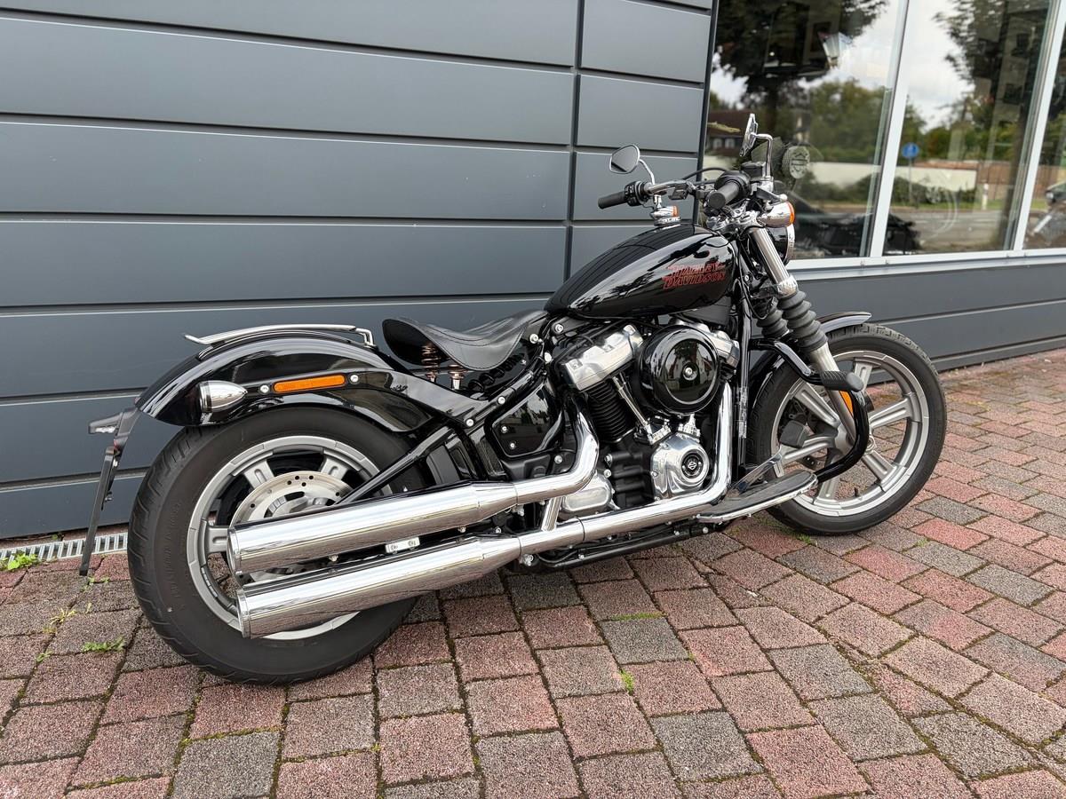 Softail Standard FXST 