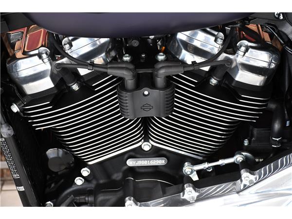 2025 HARLEY-DAVIDSON STREET BOB