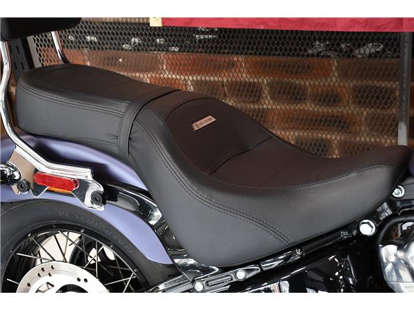 2025 HARLEY-DAVIDSON STREET BOB