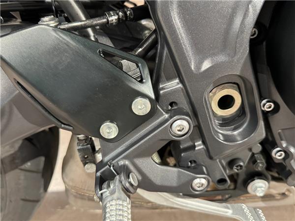 2024 YAMAHA MT-09 Y-AMT
