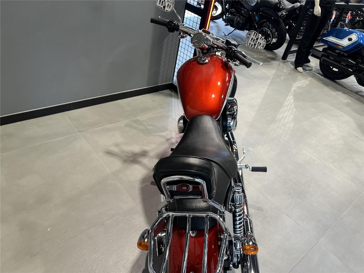 2013 HARLEY-DAVIDSON CUSTOM