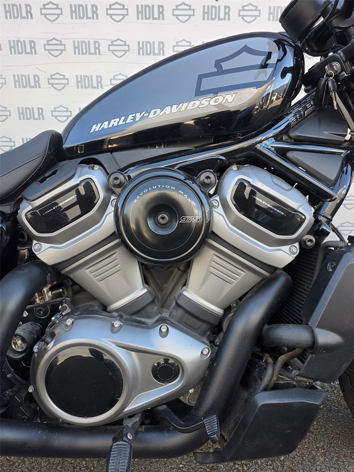 2022 HARLEY-DAVIDSON NIGHTSTER