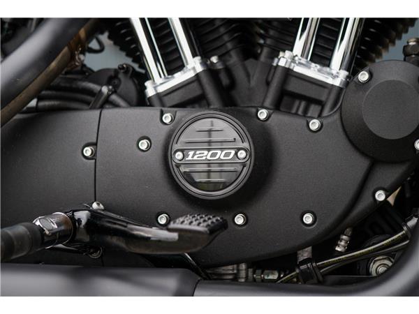 2020 Harley-Davidson XL1200NS