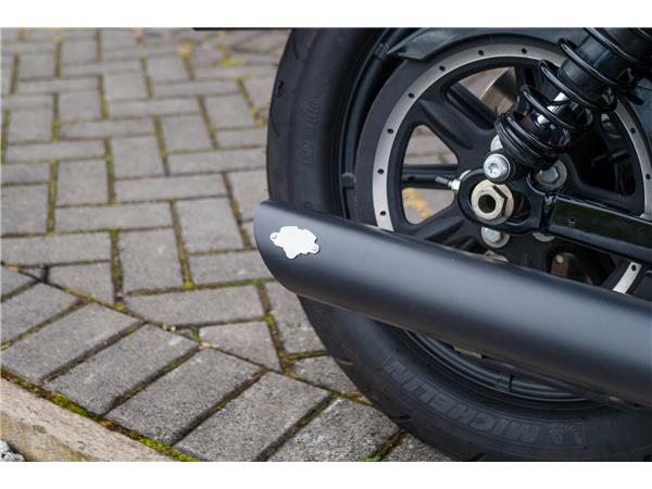 2020 Harley-Davidson XL1200NS