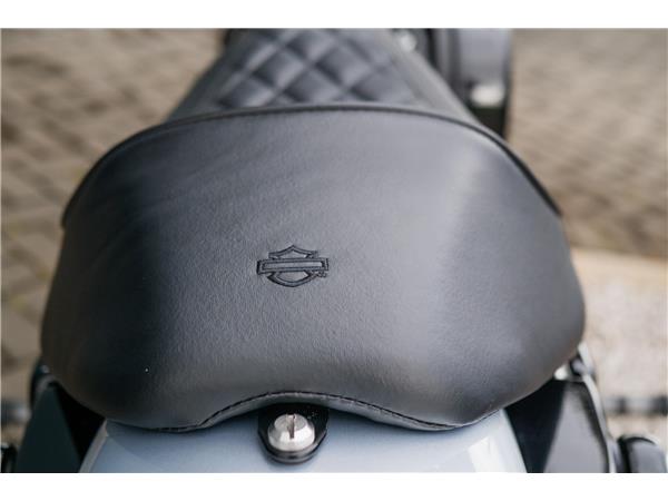 2020 Harley-Davidson XL1200NS