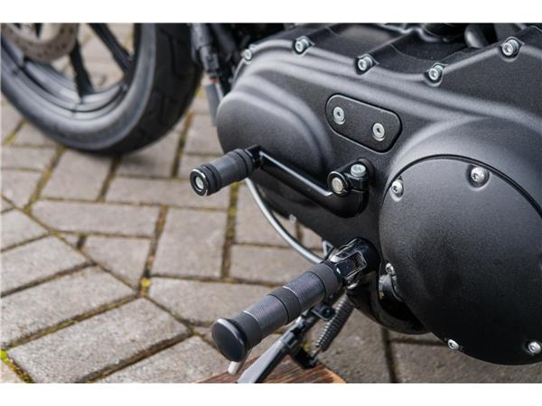2020 Harley-Davidson XL1200NS