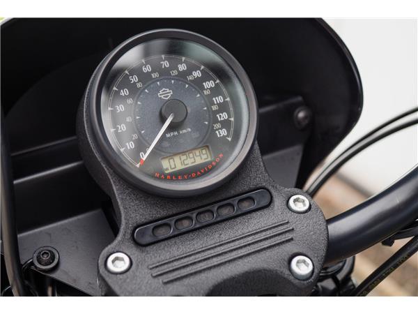 2020 Harley-Davidson XL1200NS