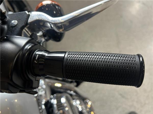 2020 Harley-Davidson Softail