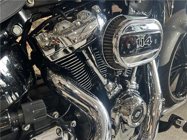 2020 Harley-Davidson Softail
