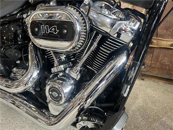 2020 Harley-Davidson Softail