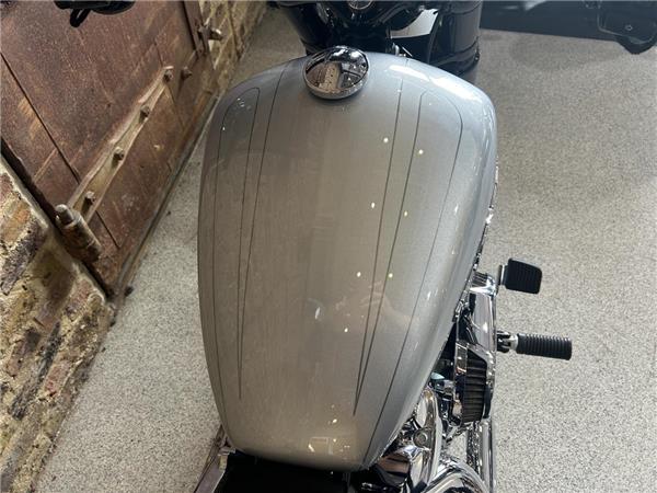 2020 Harley-Davidson Softail