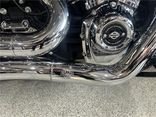 2020 Harley-Davidson Softail