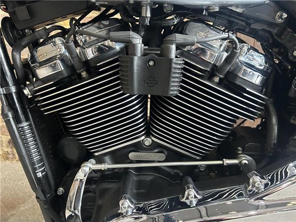 2020 Harley-Davidson Softail
