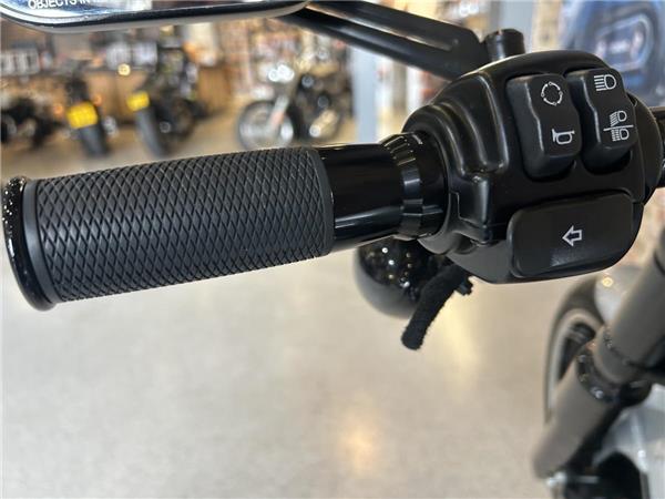 2020 Harley-Davidson Softail