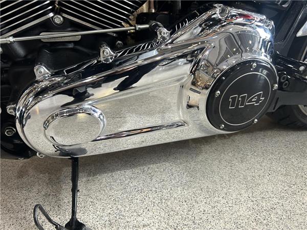 2020 Harley-Davidson Softail