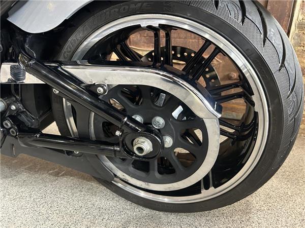 2020 Harley-Davidson Softail