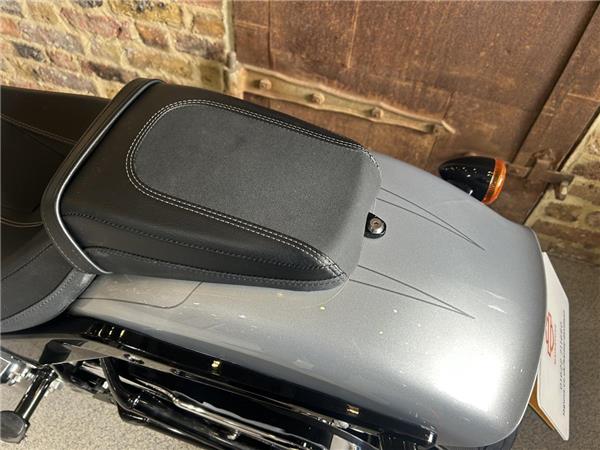 2020 Harley-Davidson Softail