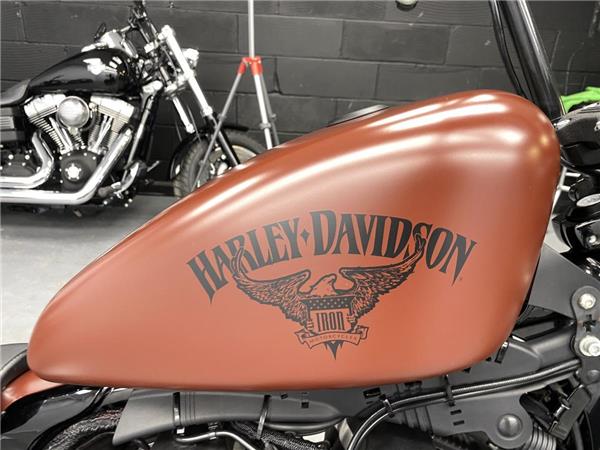 2017 Harley-Davidson Iron 883