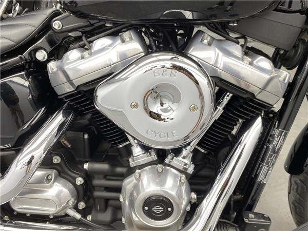 2021 Harley-Davidson Softail Standard