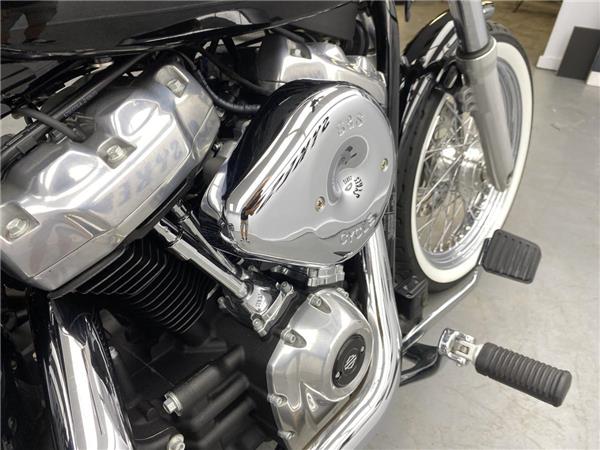 2021 Harley-Davidson Softail Standard