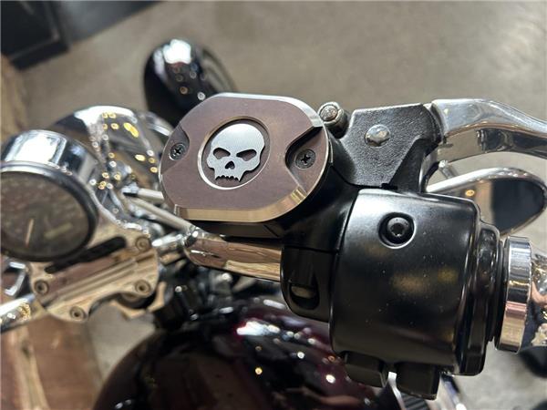 2014 Harley-Davidson Sportster