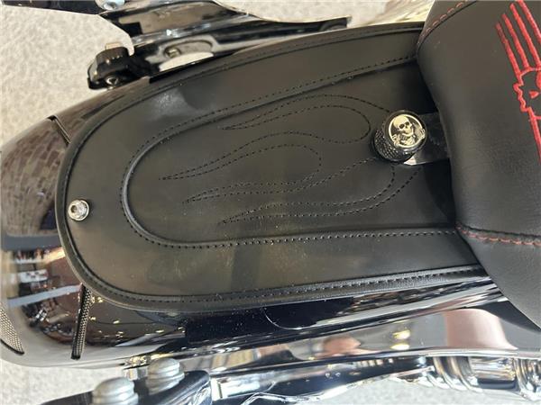 2014 Harley-Davidson Sportster