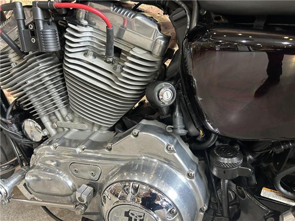 2014 Harley-Davidson Sportster