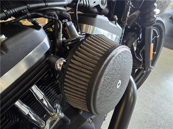 2019 Harley-Davidson Sportster