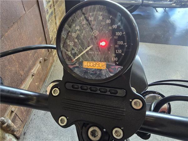 2019 Harley-Davidson Sportster